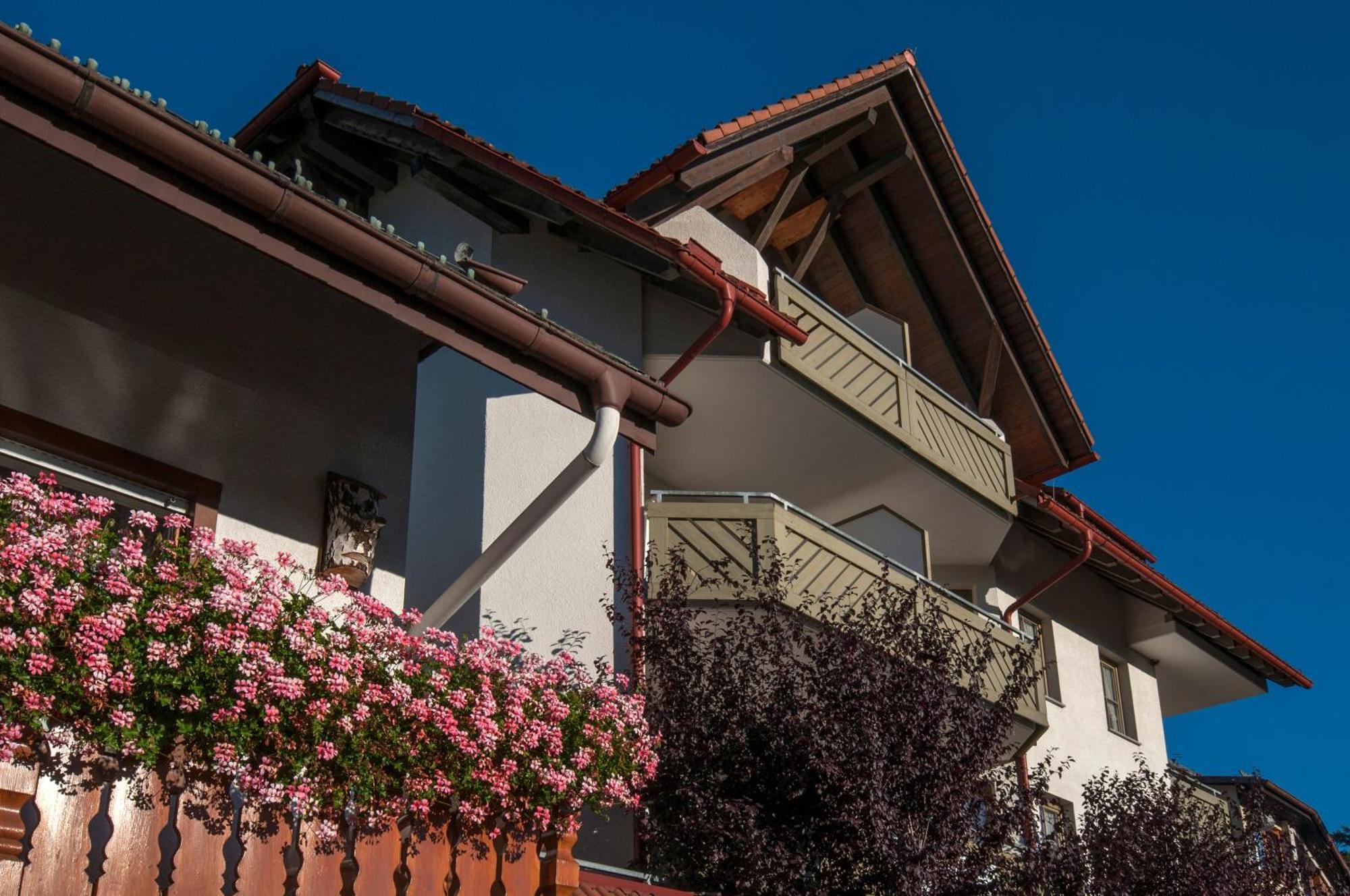 Apartment 03 - Ferienresidenz Roseneck, Mit Schwimmbad In Todtnauberg Bei Feldberg ภายนอก รูปภาพ