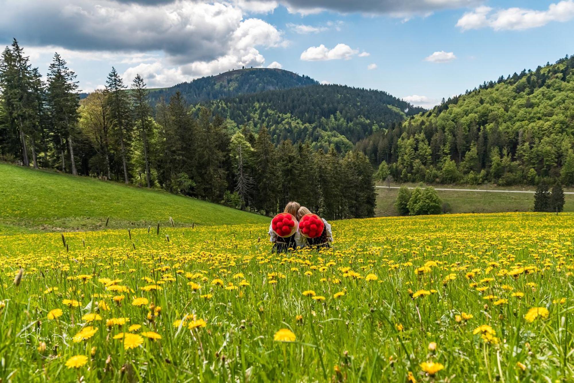 Apartment 03 - Ferienresidenz Roseneck, Mit Schwimmbad In Todtnauberg Bei Feldberg ภายนอก รูปภาพ