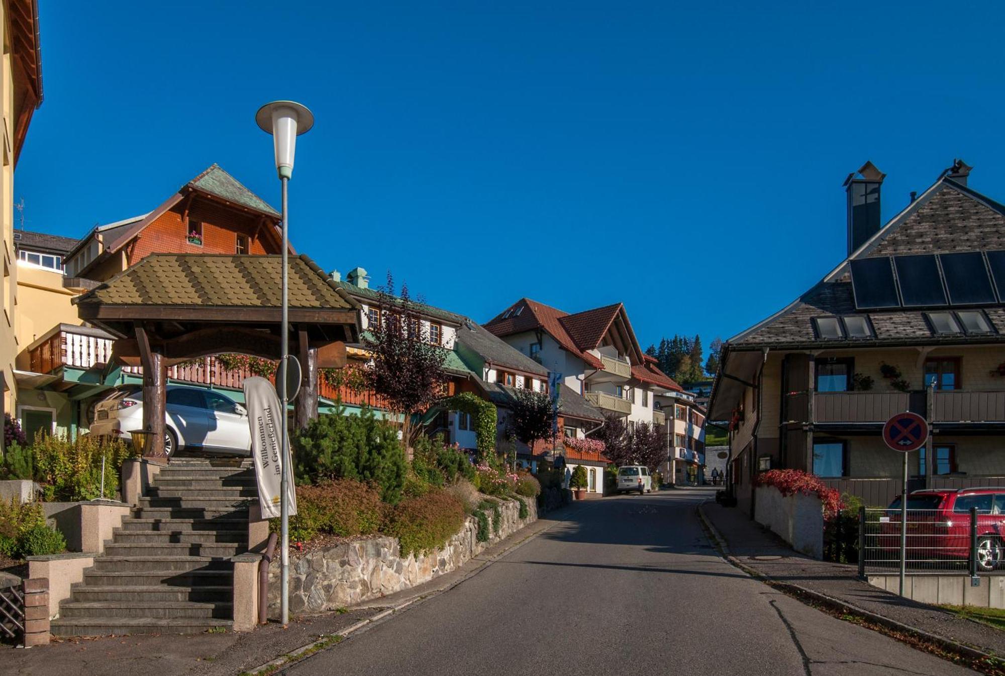 Apartment 03 - Ferienresidenz Roseneck, Mit Schwimmbad In Todtnauberg Bei Feldberg ภายนอก รูปภาพ