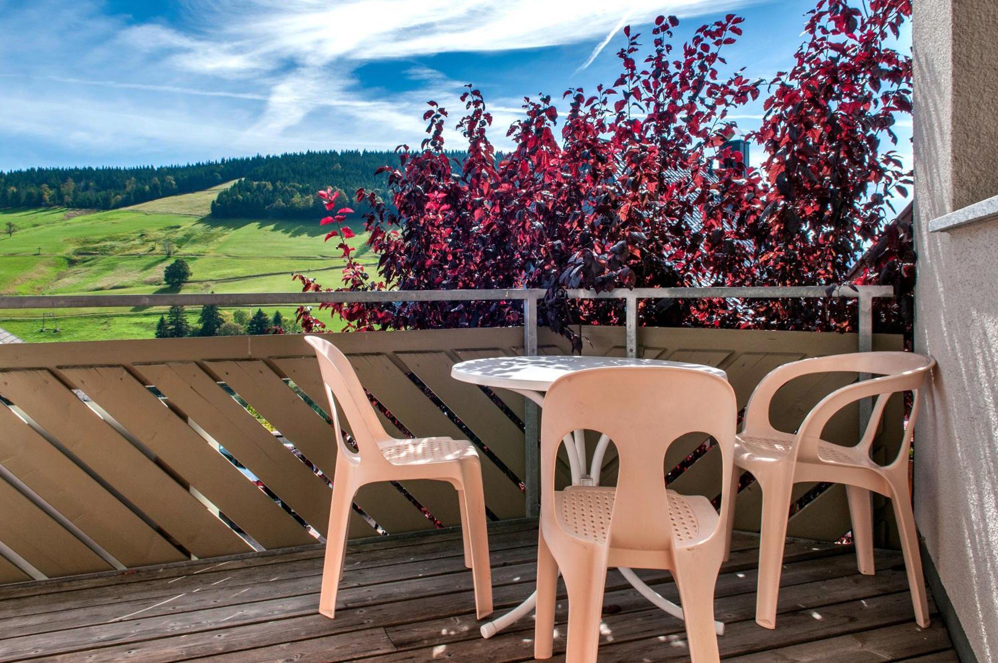 Apartment 03 - Ferienresidenz Roseneck, Mit Schwimmbad In Todtnauberg Bei Feldberg ภายนอก รูปภาพ